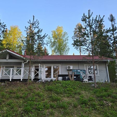 Valentin Cottage Enonkoski Екстериор снимка