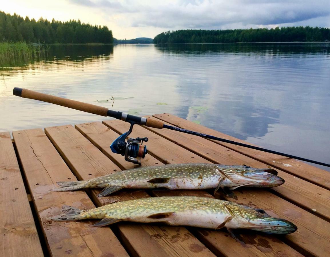 Valentin Cottage Enonkoski Екстериор снимка
