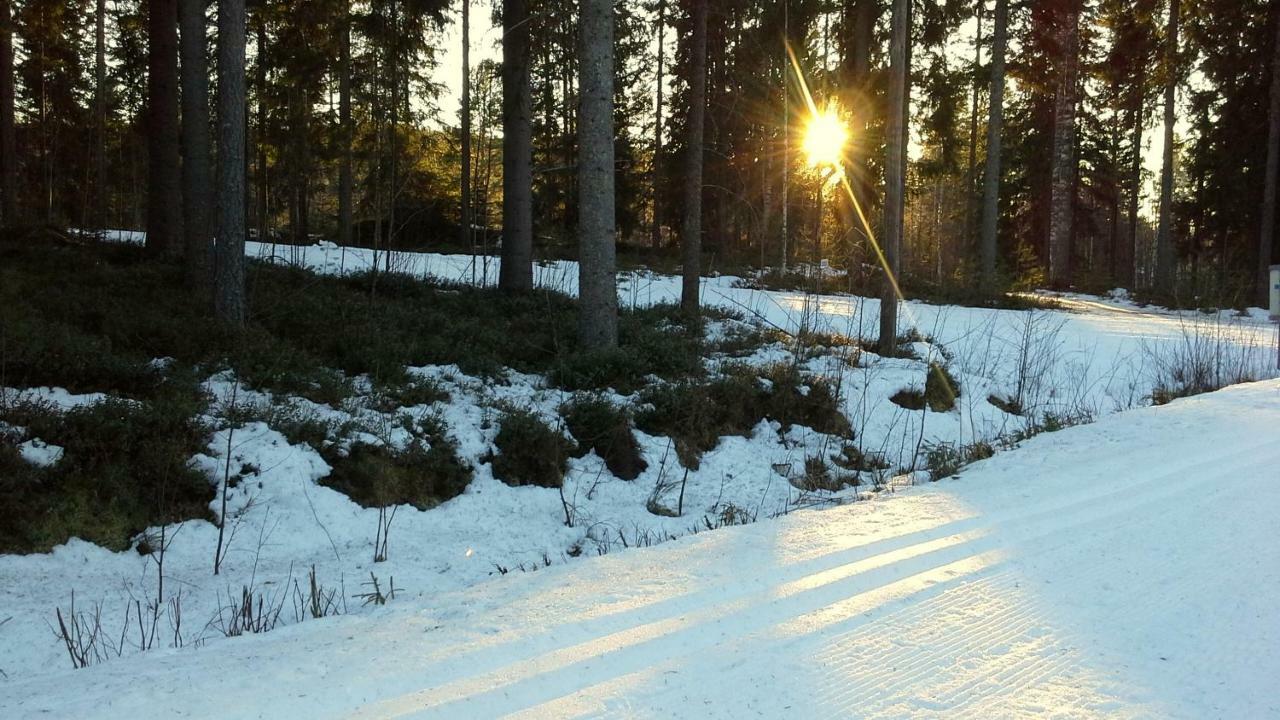 Valentin Cottage Enonkoski Екстериор снимка