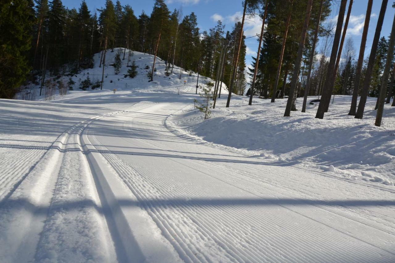 Valentin Cottage Enonkoski Екстериор снимка
